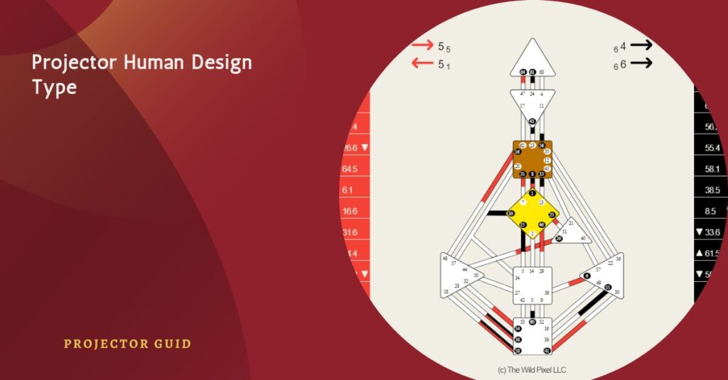 Projector Human Design Type