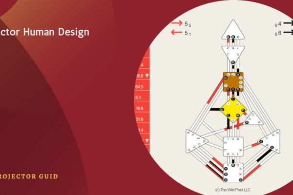 Projector Human Design Type